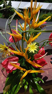 Floral arrangement
